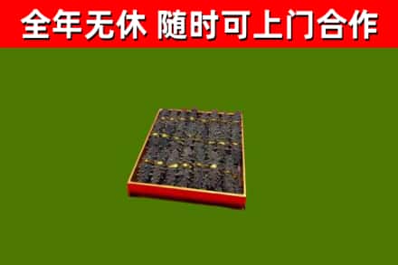正阳回收海参